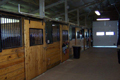Magic Meadows Horse Farm, Frankfort, IL