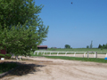 Magic Meadows Farm, Horse Boarding